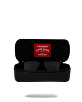 AMERICAN AIRLINES MAXIMUM ALTITUDE AVIATOR CASE