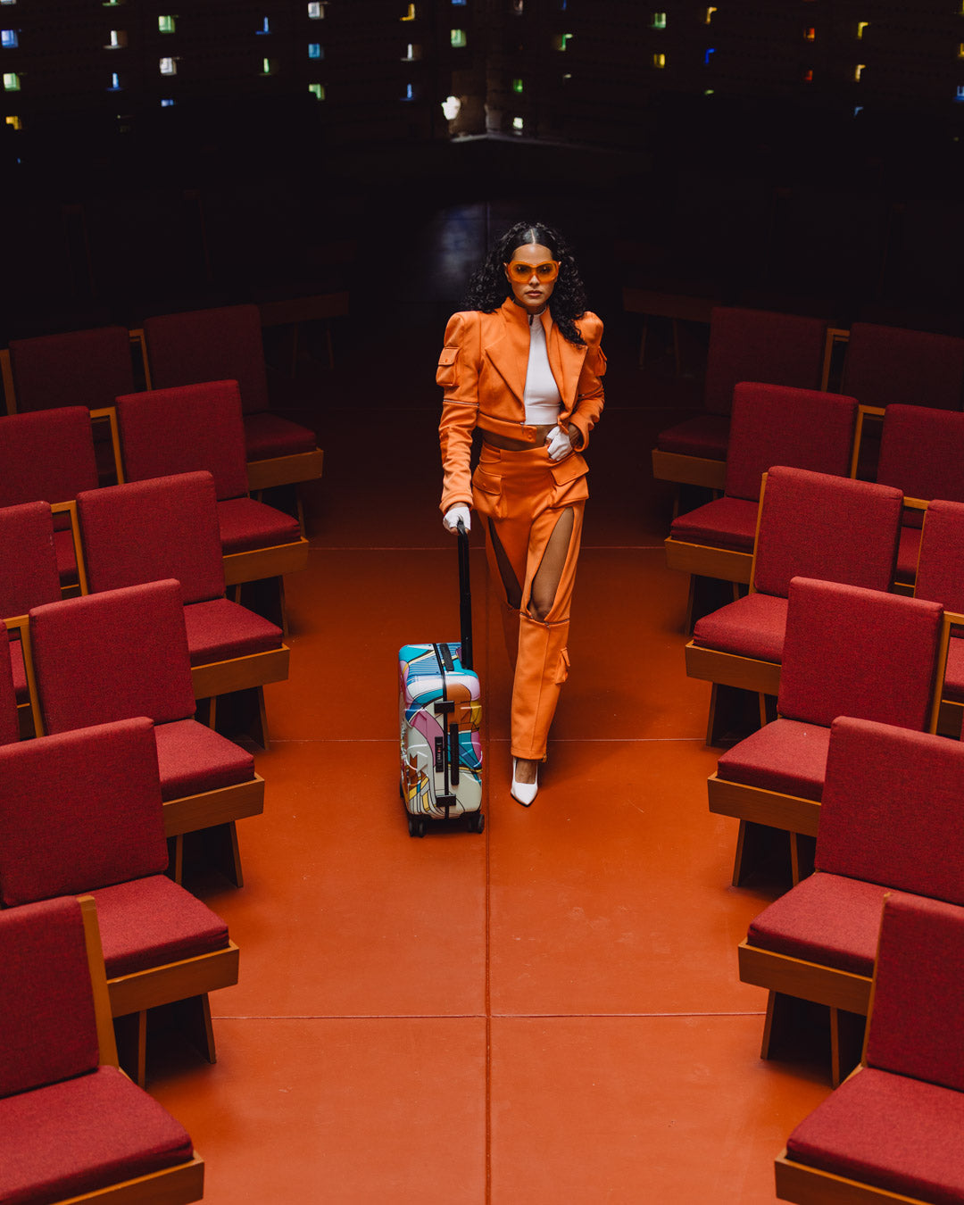 FRANK LLOYD WRIGHT COLLAB FROZEN SPHERES LUGGAGE