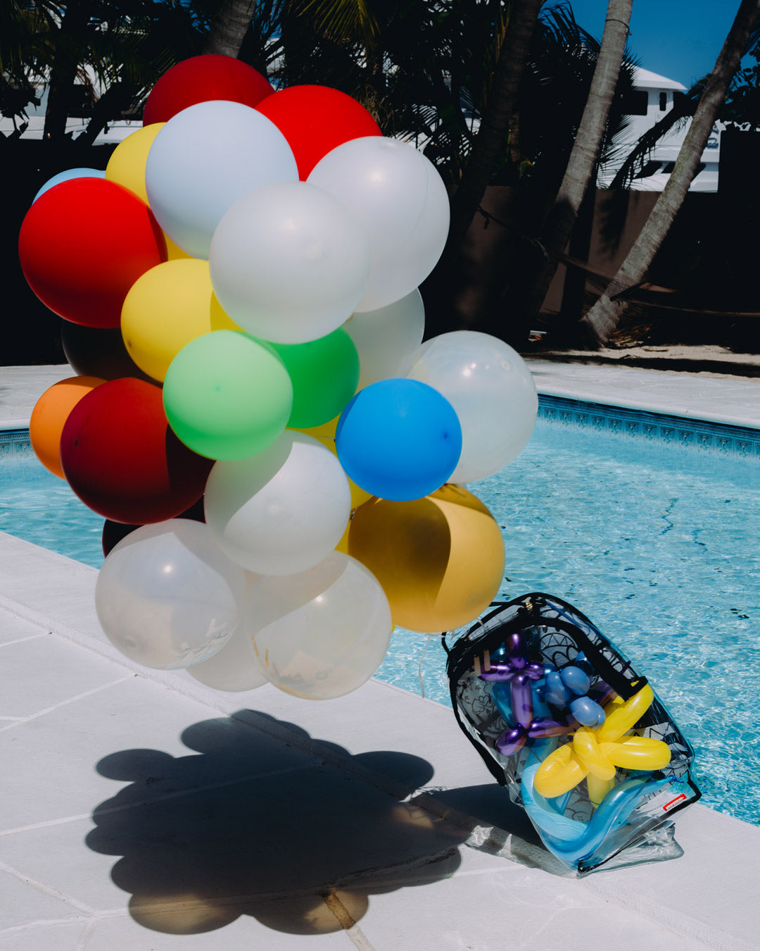 CLEAR DLX BACKPACK - ASTROMANE SKY WRITER
