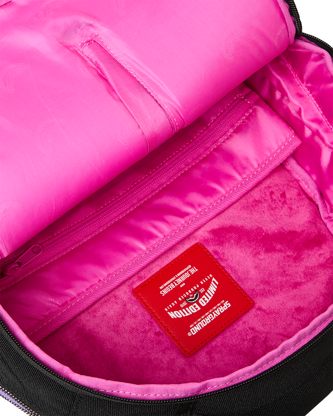 UNZIP TO REVEAL THE REAL BACKPACK