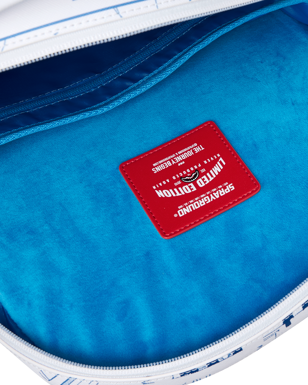 FRANK LLOYD WRIGHT COLLAB BREAKING THE BOX BACKPACK