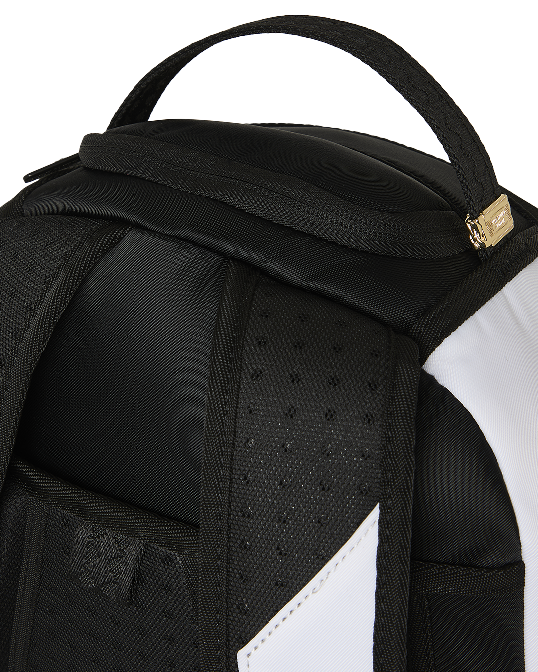 SHARK CENTRAL 2 BEYOND BACKPACK