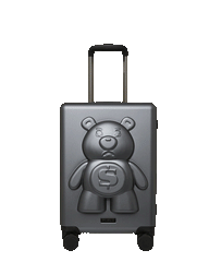 MONEYBEAR VAULT: HARDSHELL CARRY-ON LUGGAGE